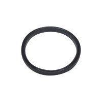 Уплотнительное кольцо Hayward (SPX1600R)